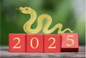 Read more about the article Embracing the Year of the Wood Snake: Renewal and Growth Through Acupuncture
